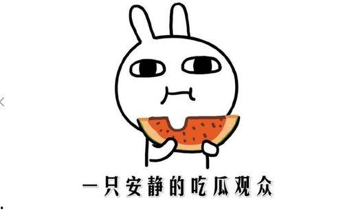 吃瓜事件是什么意思,网络舆论场中的热点追踪与反思